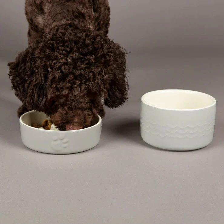 Scruffs Icon Slow Feeder Pet Bowl - Image 5