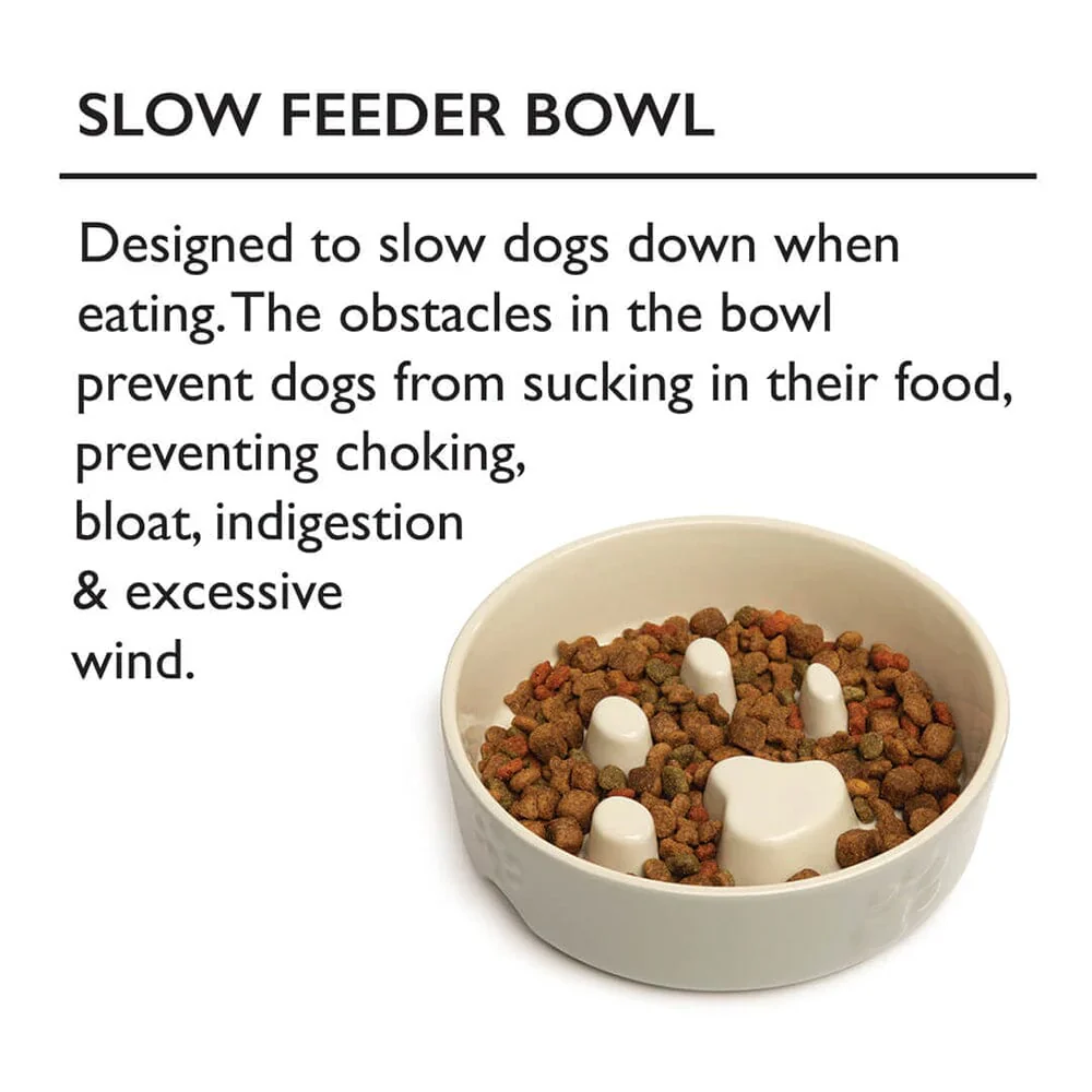 Scruffs Icon Slow Feeder Pet Bowl - Image 8