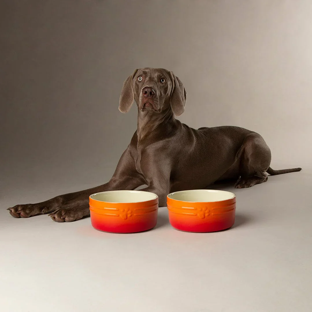 Scruffs Ombre Bowls for Pets - Image 4