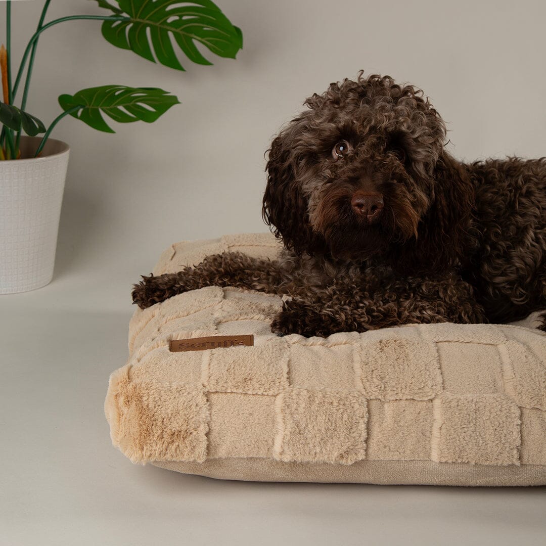 Scruffs Oxford Orthopaedic Mattress - Image 2
