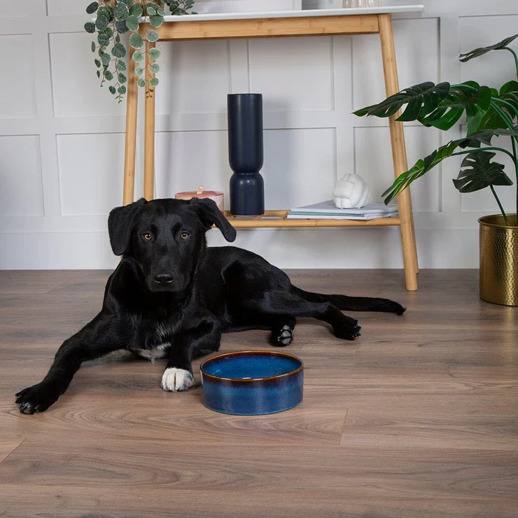 Scruffs Reactive Glaze Pet Food Bowl - Image 3