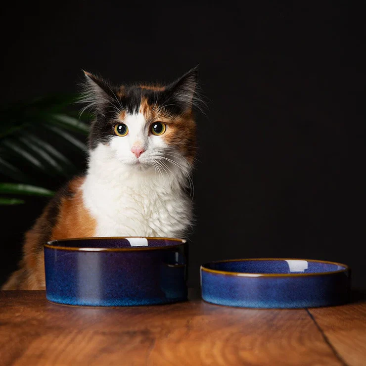 Scruffs Reactive Glaze Pet Food Bowl - Image 5