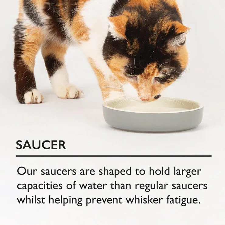 Scruffs Reactive Glaze Pet Food Bowl - Image 7