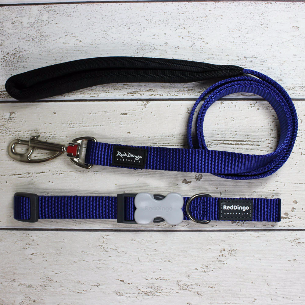 Simply Blue Dog Collar by Red Dingo - Image 4
