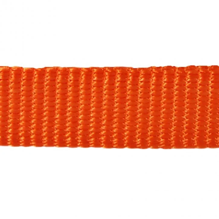Simply Orange Dog Lead by Red Dingo - Image 2