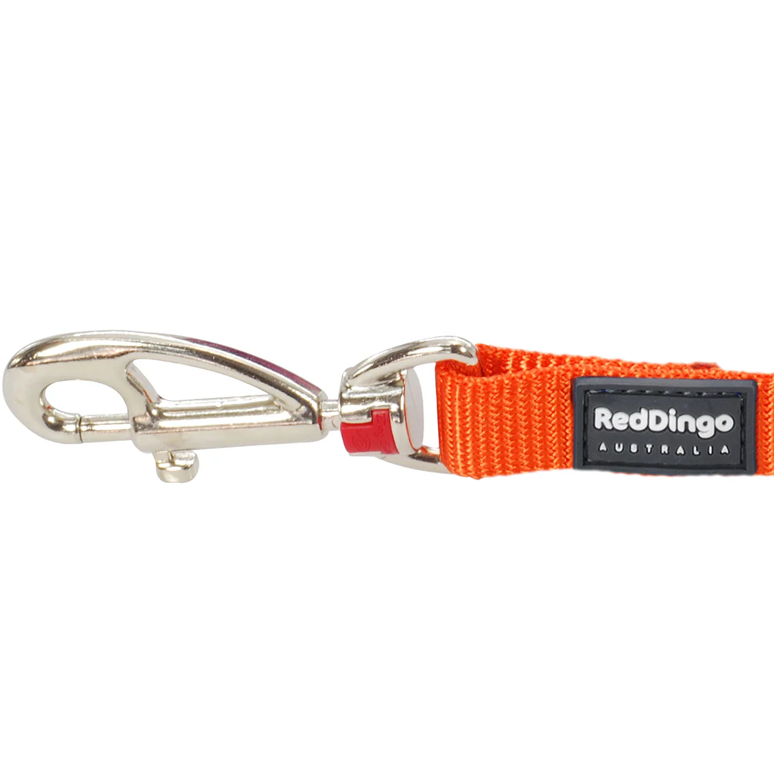 Simply Orange Dog Lead by Red Dingo - Image 3