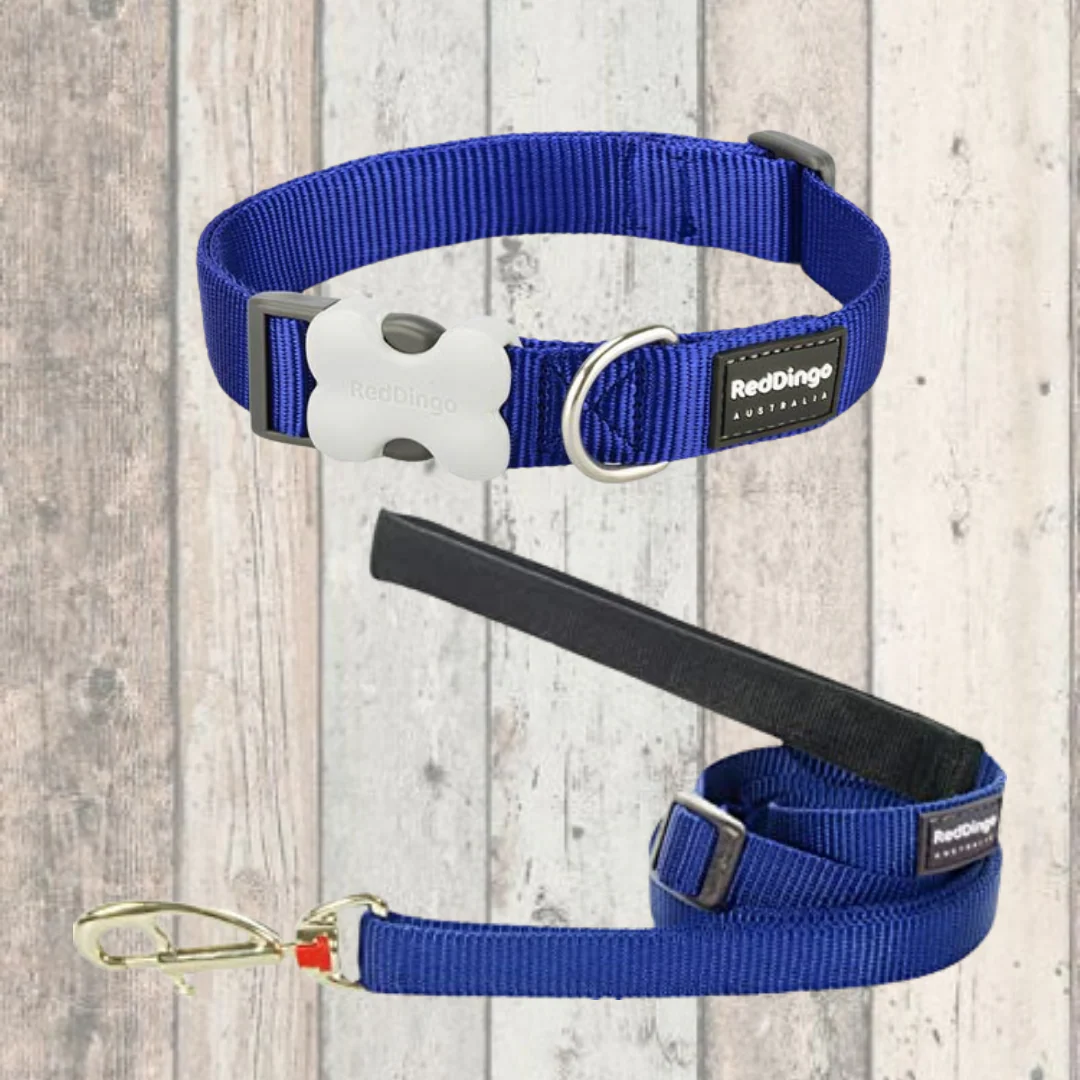 Simply Blue Dog Lead by Red Dingo - Image 2