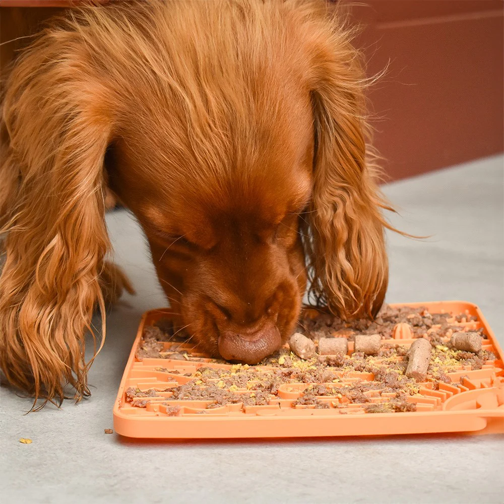Great & Small Slow Down Arizona Silicone Snack Pad - Image 3