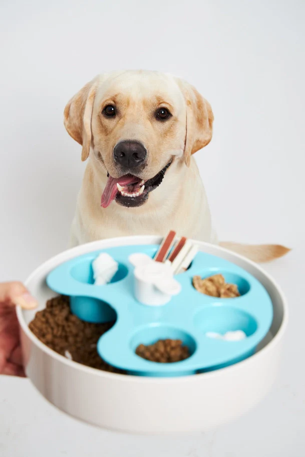 Spin Interactive Slow Feeder Palette Bowl for Dogs - Image 4