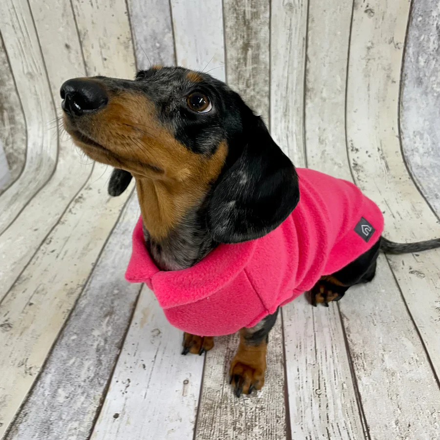 Standard Dachshund Fleece Jumper - Image 7