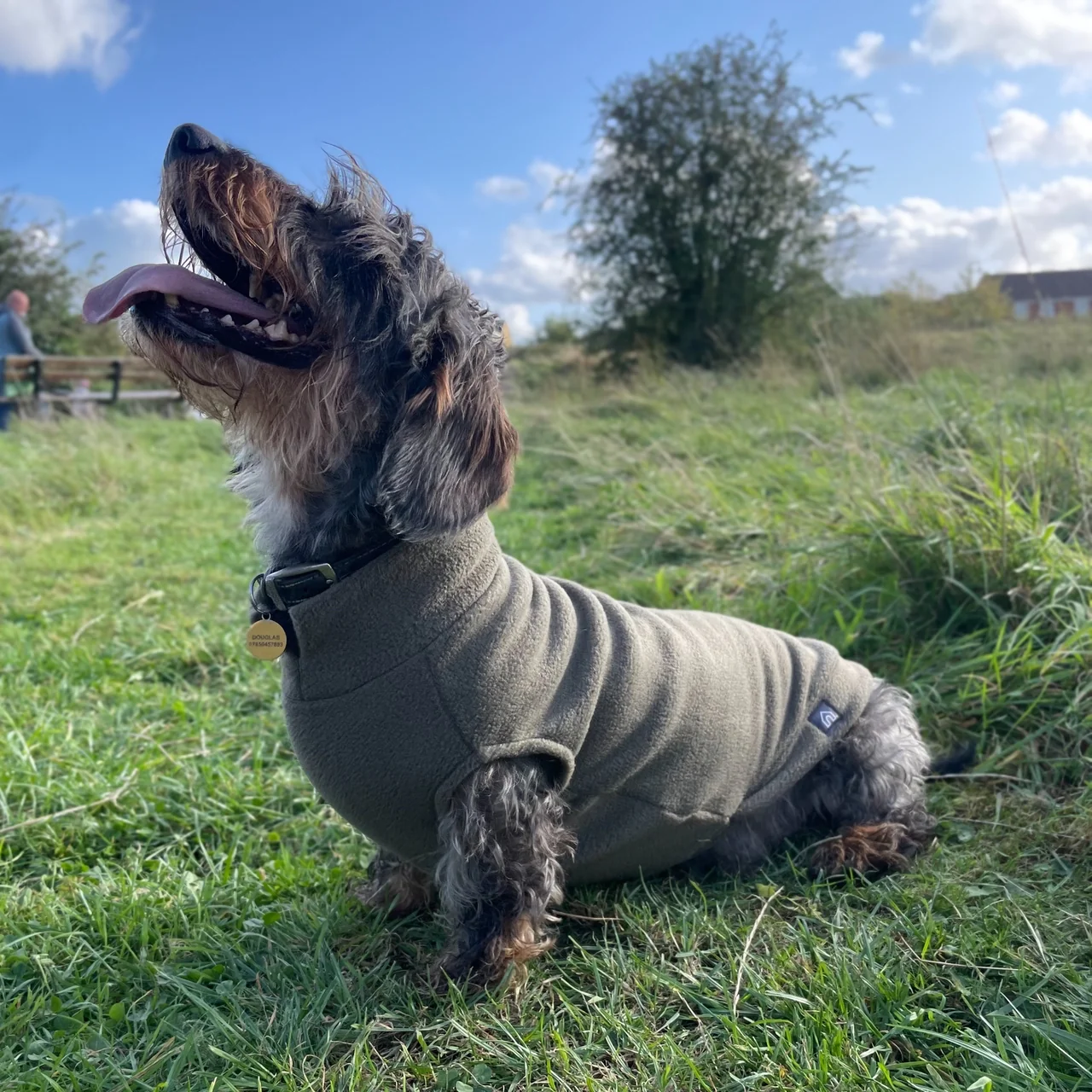 Standard Dachshund Fleece Jumper - Image 9