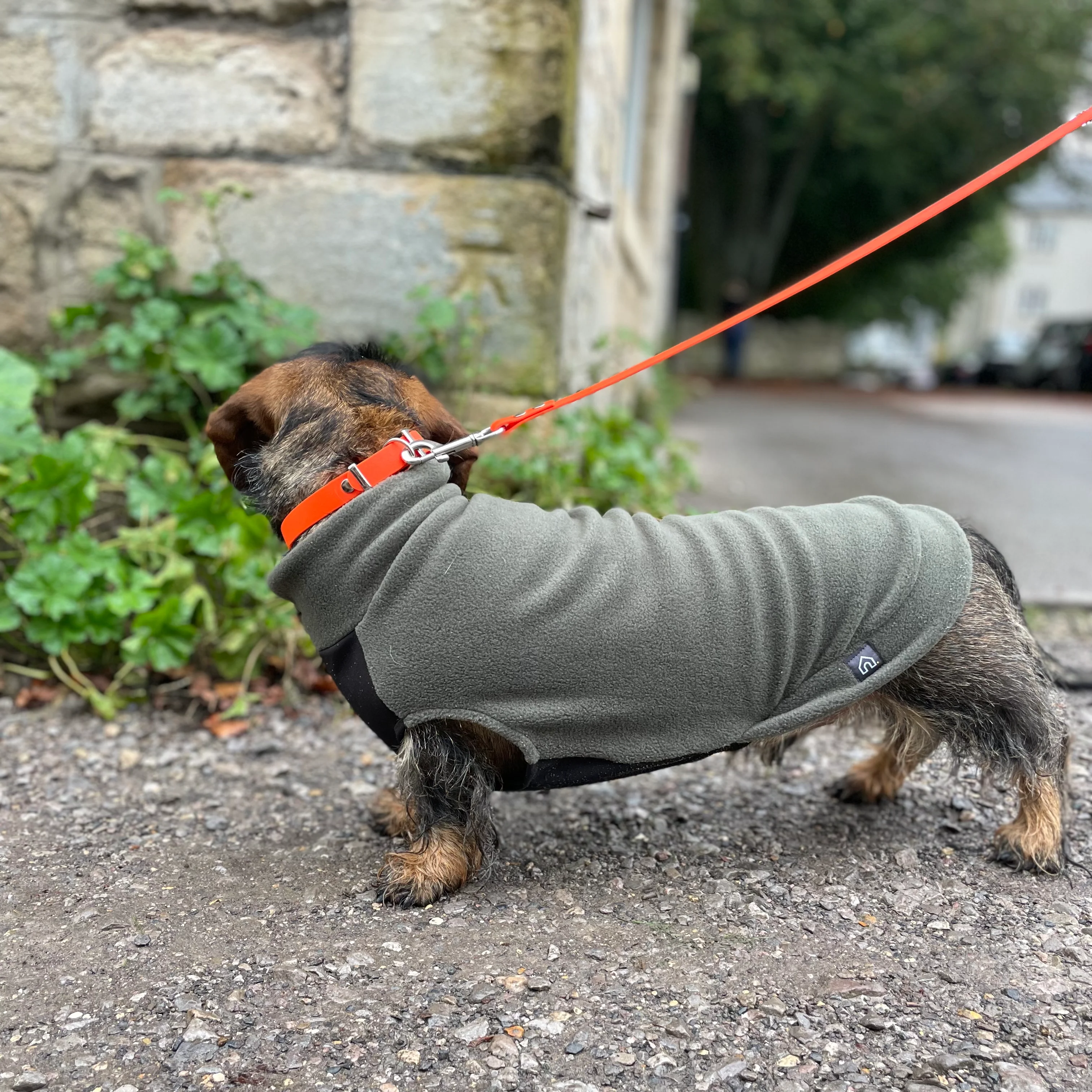 Standard Dachshund Fleece Jumper with Waterproof Belly Panel - Image 9
