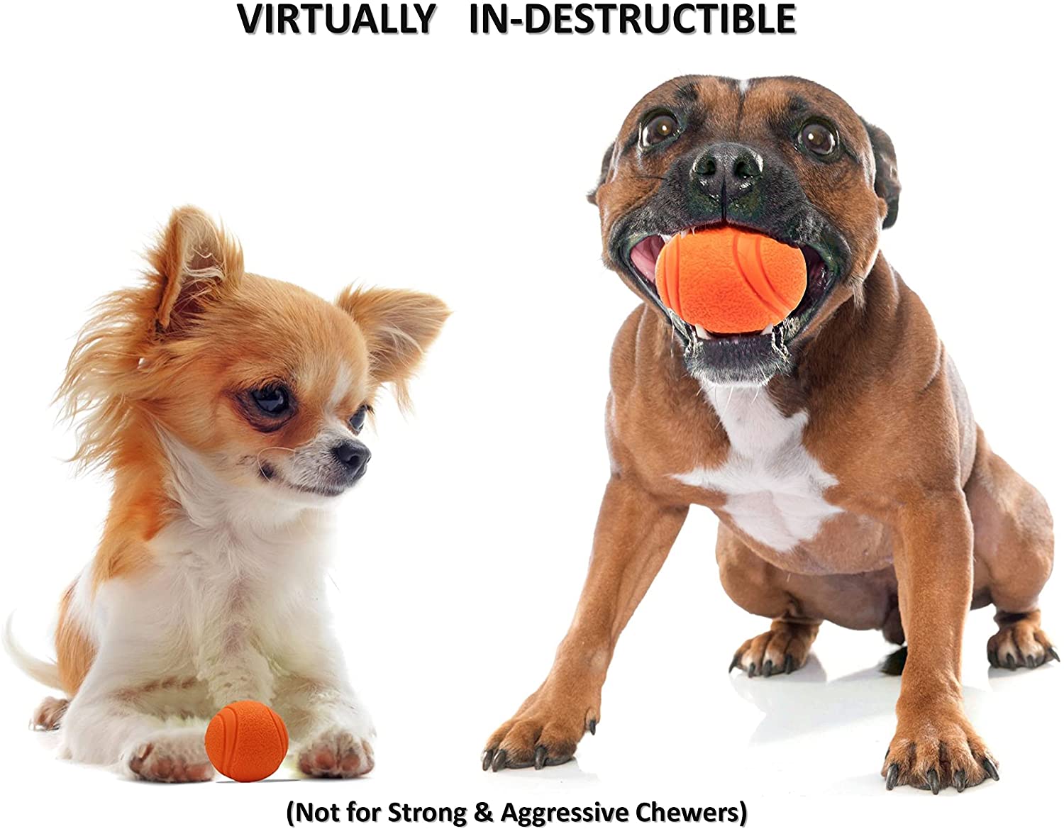 Super Tough Solid Rubber Bouncing Dog Ball - Image 3