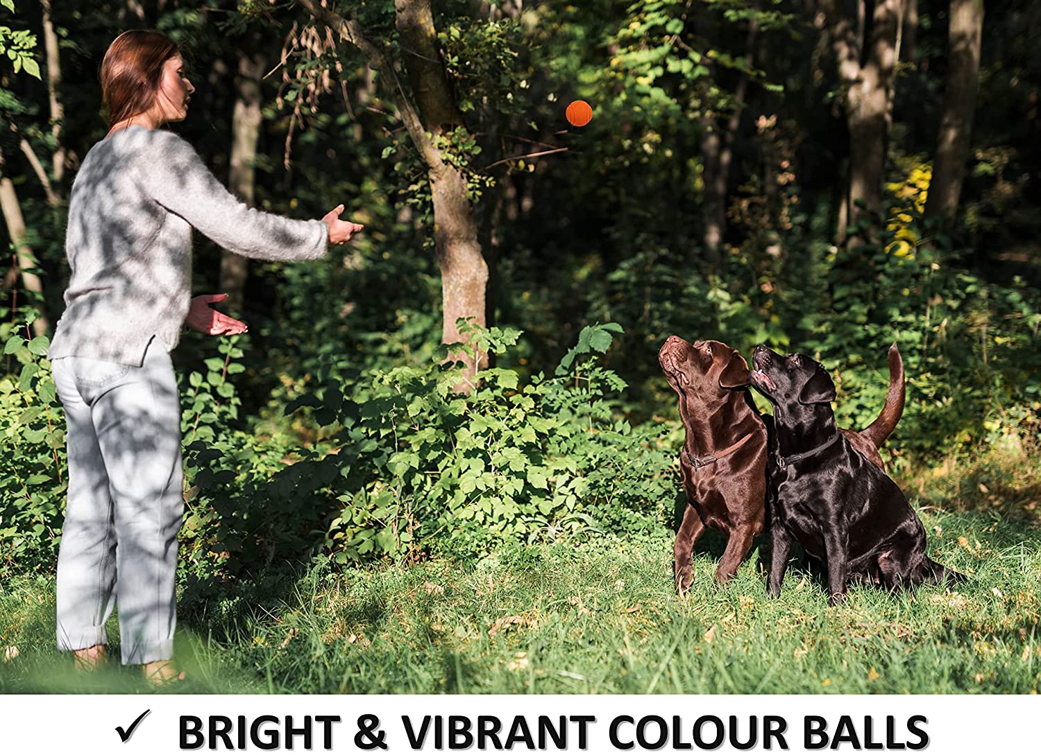 Super Tough Solid Rubber Bouncing Dog Ball - Image 4