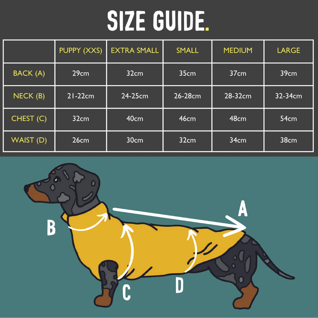 Cosy T-Shirts for Dachshunds - Image 21