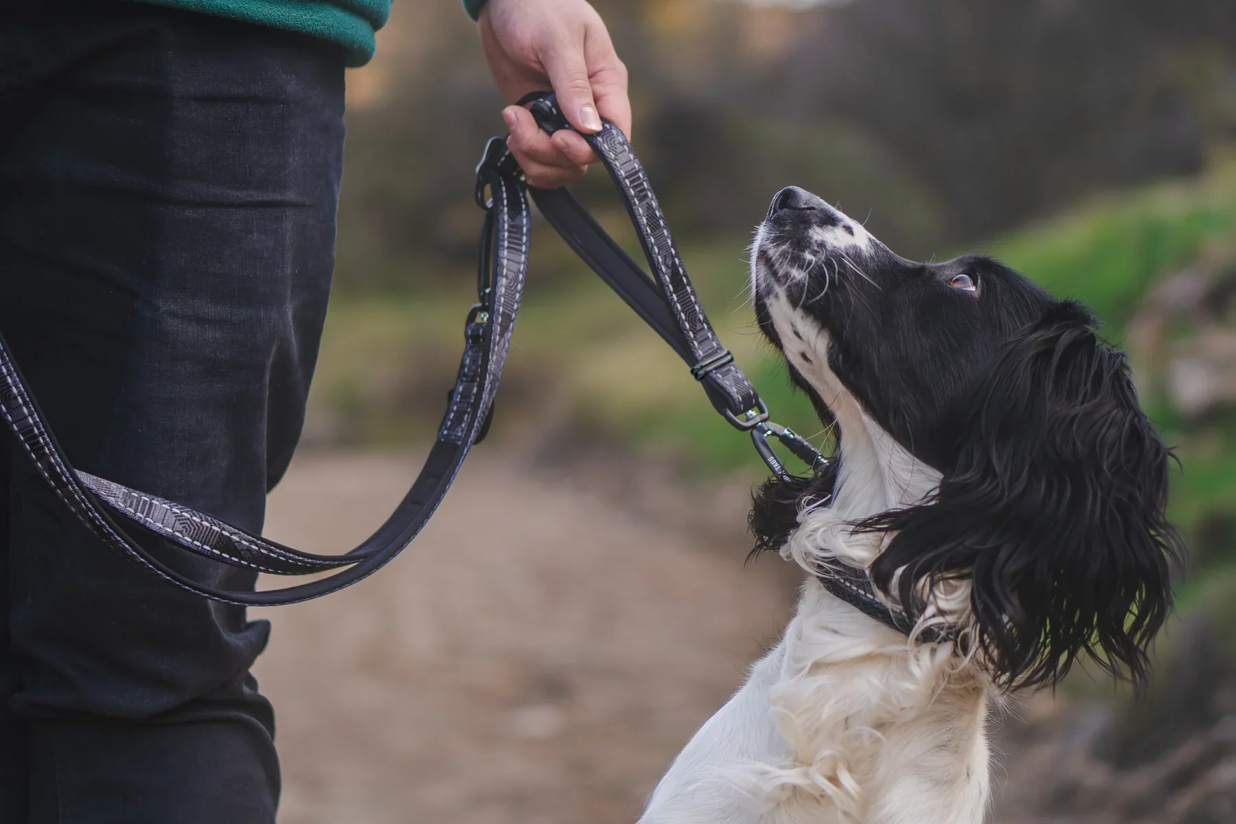 Twiggy Tags TrailFinder Multi-Way Dog Lead - Image 10