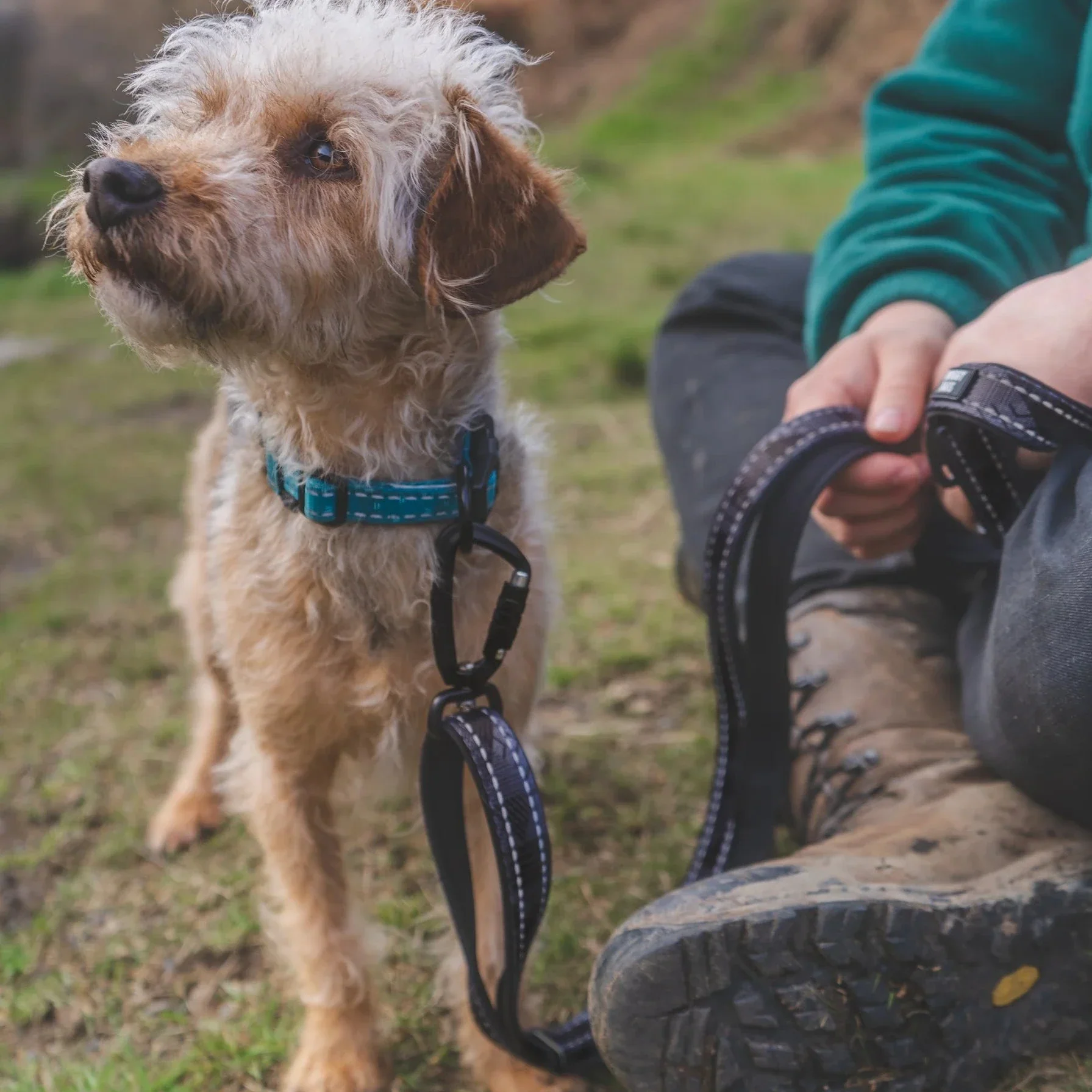 Twiggy Tags TrailFinder Multi-Way Dog Lead - Image 5