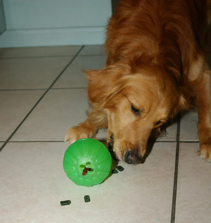 Durafoam Treat Dispensing Chew Ball for Dogs - Image 2