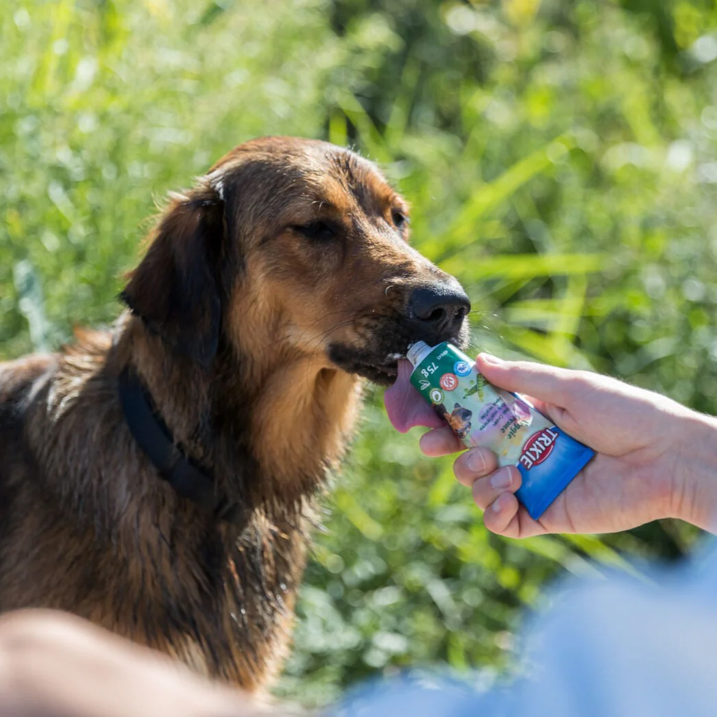 Trixie Pate for Dogs - Image 7