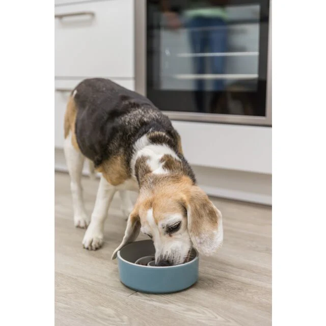 Trixie Slow Feeding Ceramic Bowl for Dogs - Image 6