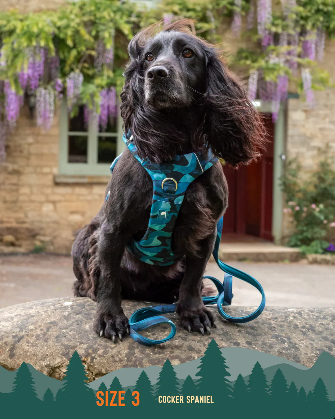 Twiggy Tags Adventure 2.0 Harness in Lagoon - Image 3
