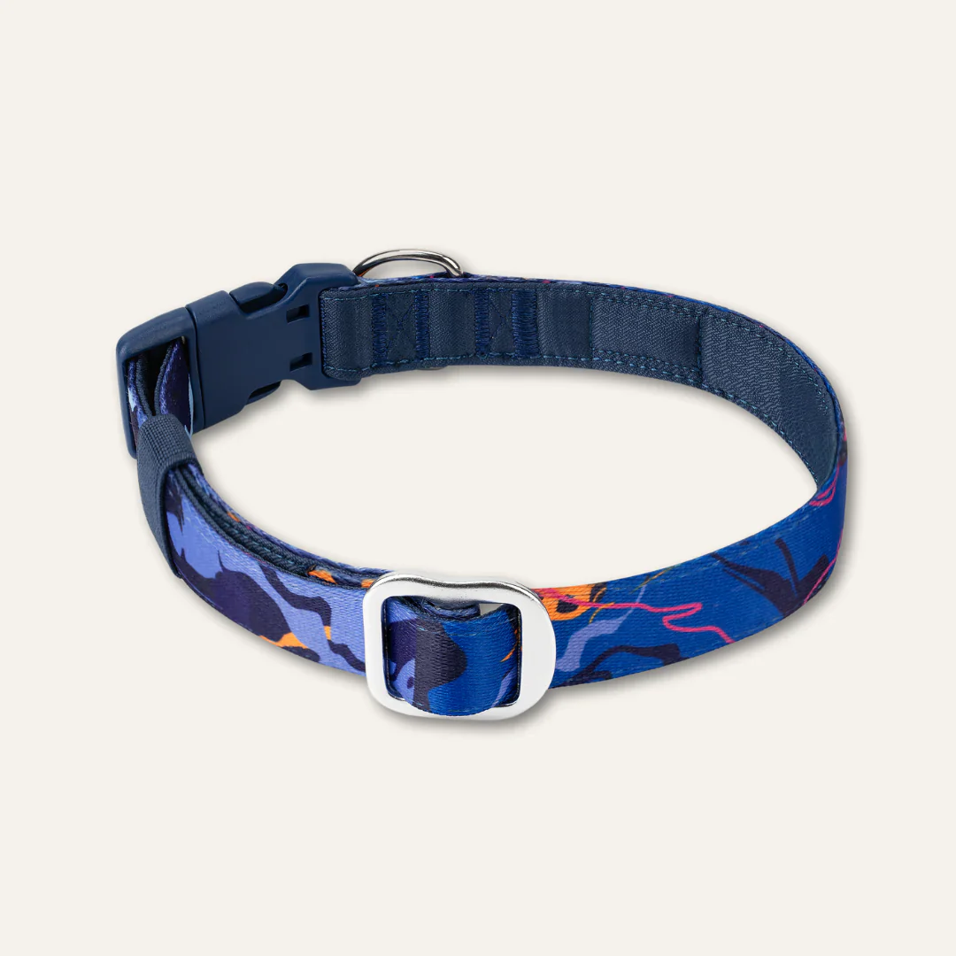 Twiggy Tags Apex Collar in Nebula - Image 2