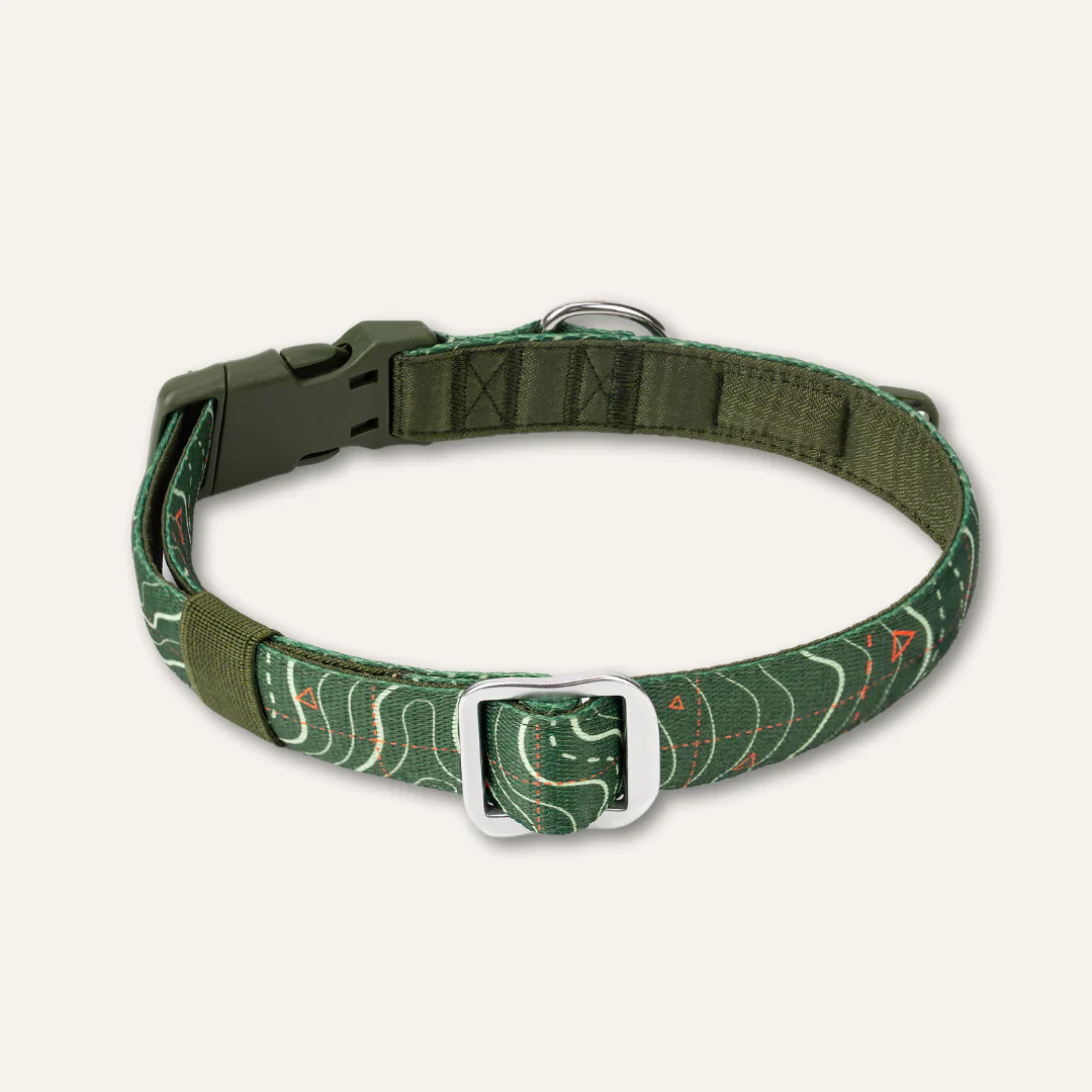 Twiggy Tags Apex Collar in Nomad - Image 2