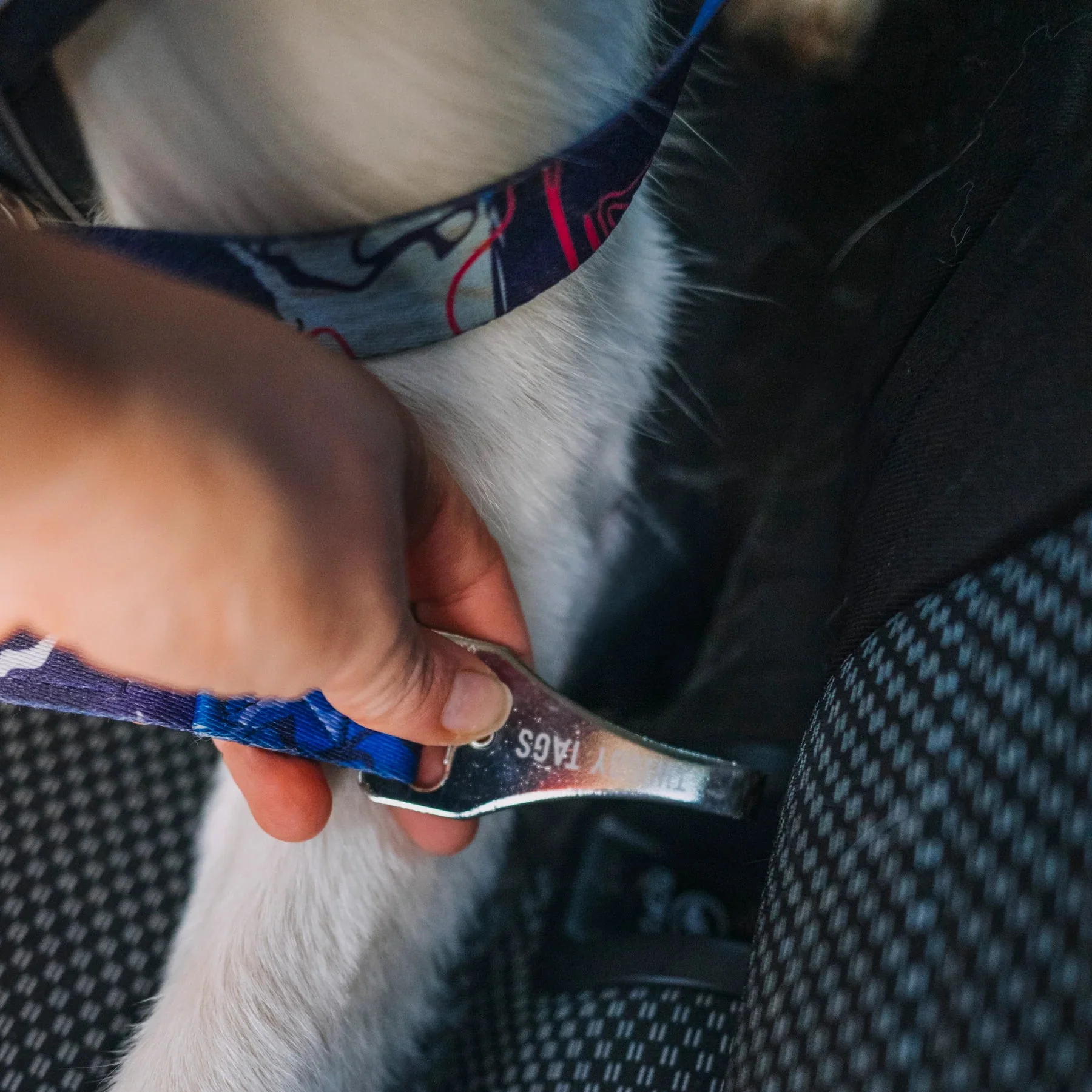 Twiggy Tags ISOFIX Dog Seat Belt - Image 4