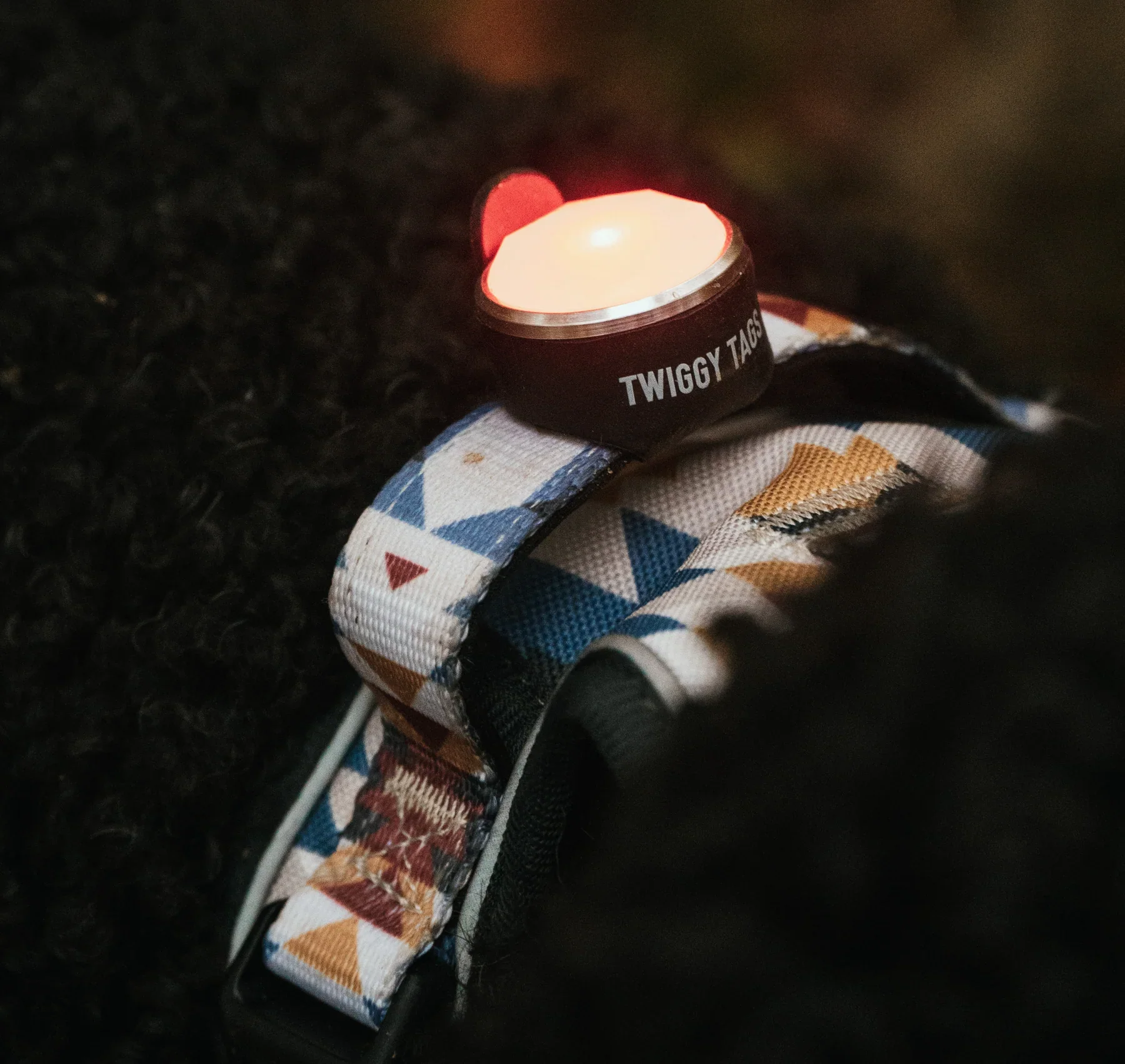 Twiggy Tags TrekBright Dog Safety Light - Image 4