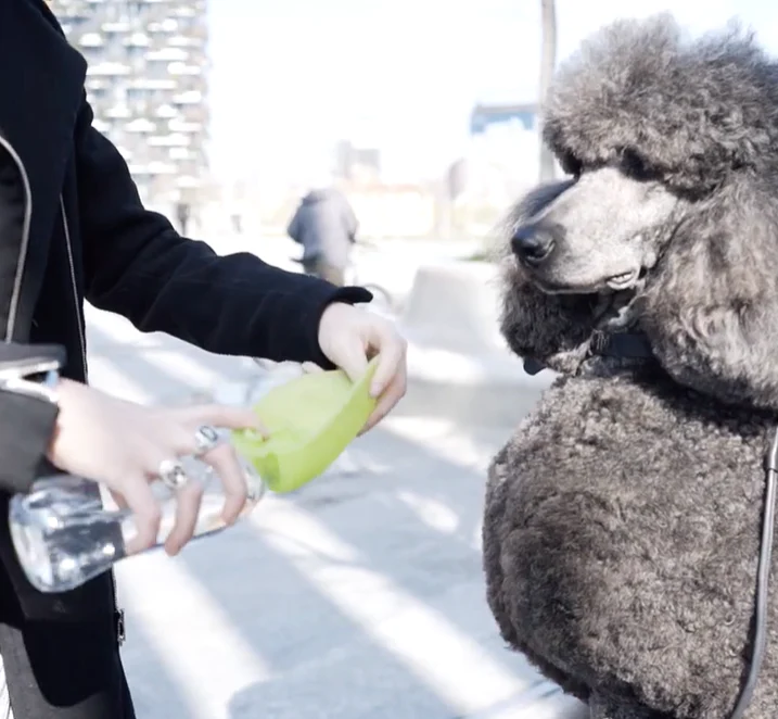 Universal Leaf Dog Water Bottle - Image 6