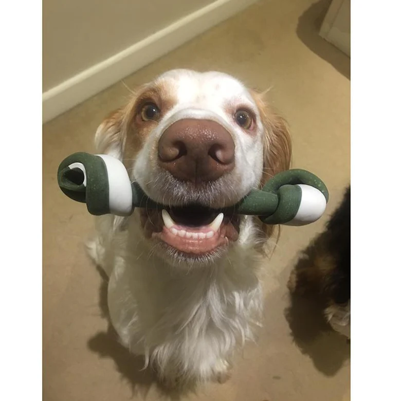 Vegetarian Knotted Bones for Dogs - Image 3