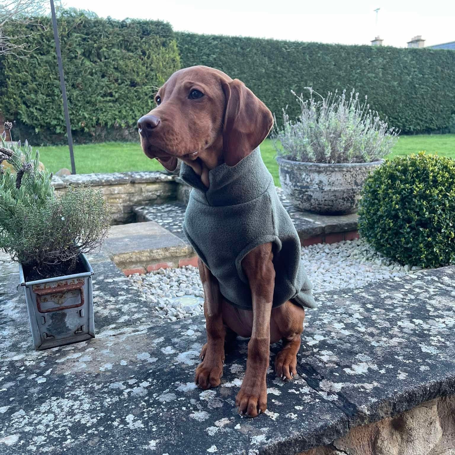 Large Breed Dog Fleece Jumper - Image 10