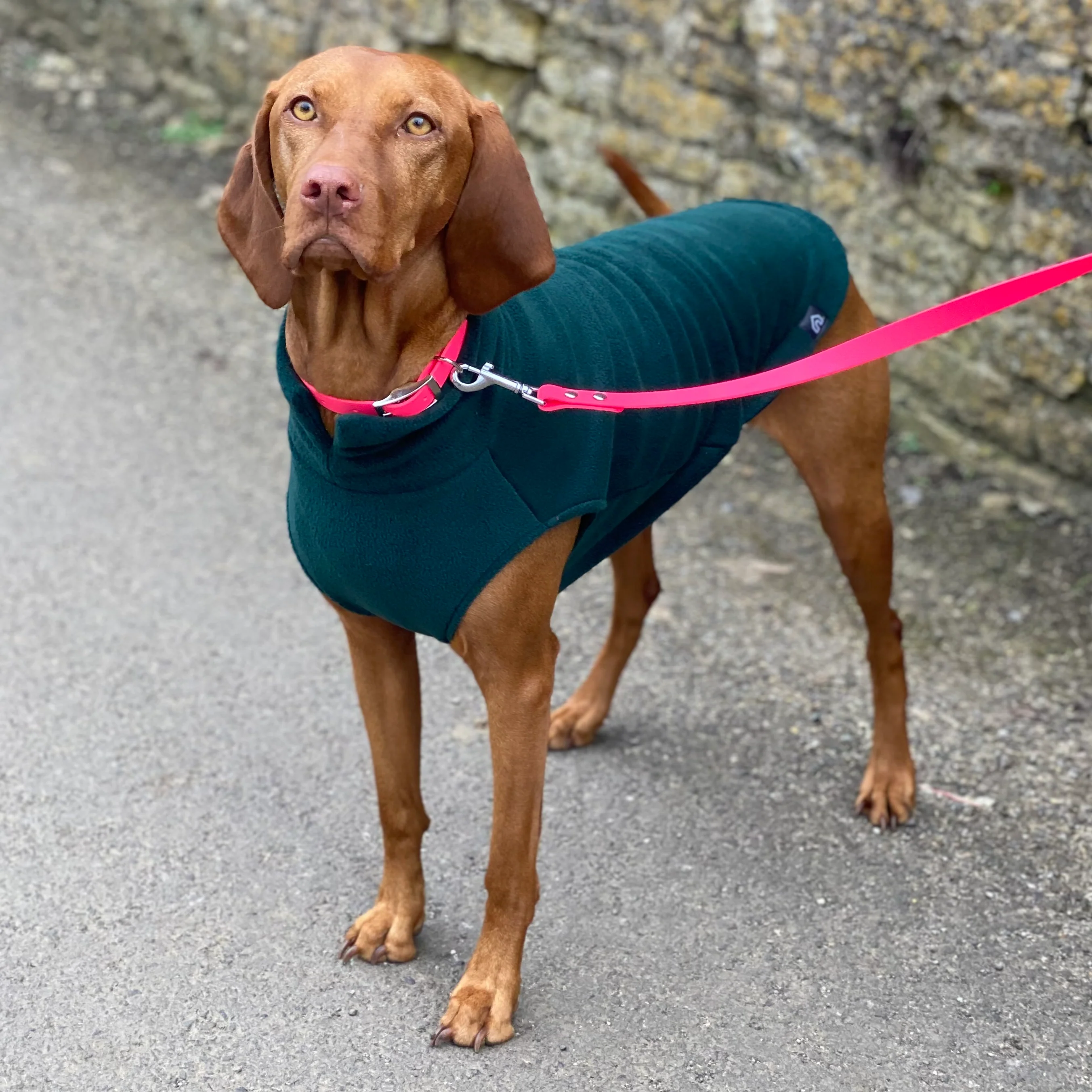 Large Breed Dog Fleece Jumper - Image 11