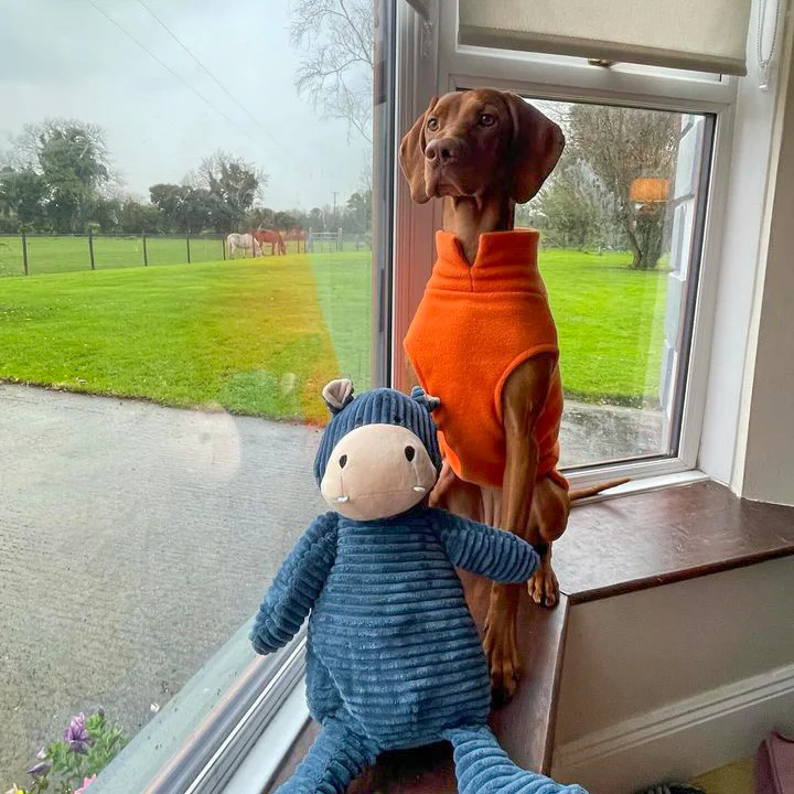 Large Breed Dog Fleece Jumper - Image 15