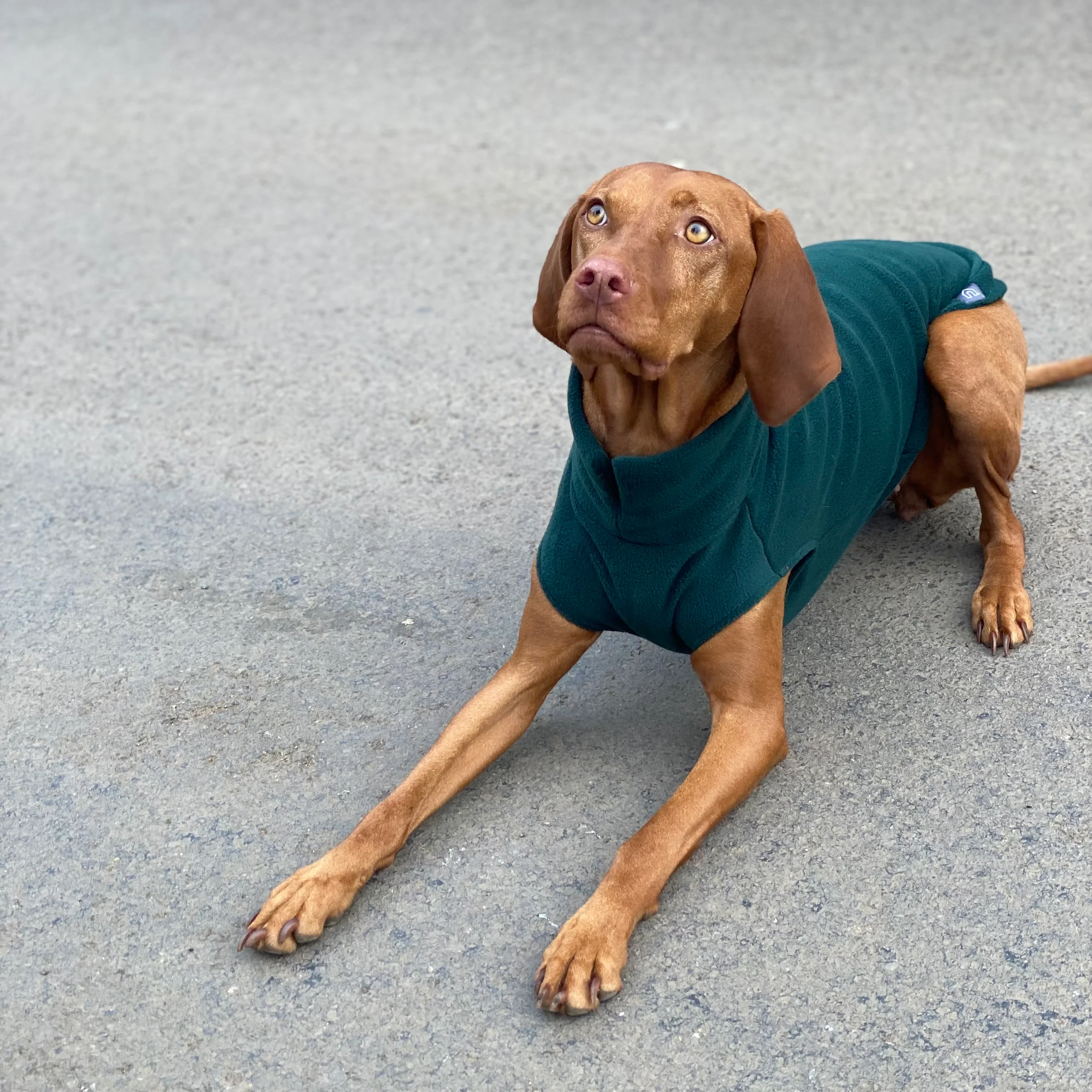 Large Breed Dog Fleece Jumper - Image 20