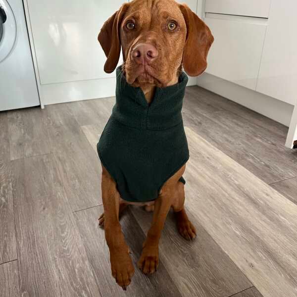 Large Breed Dog Fleece Jumper - Image 22