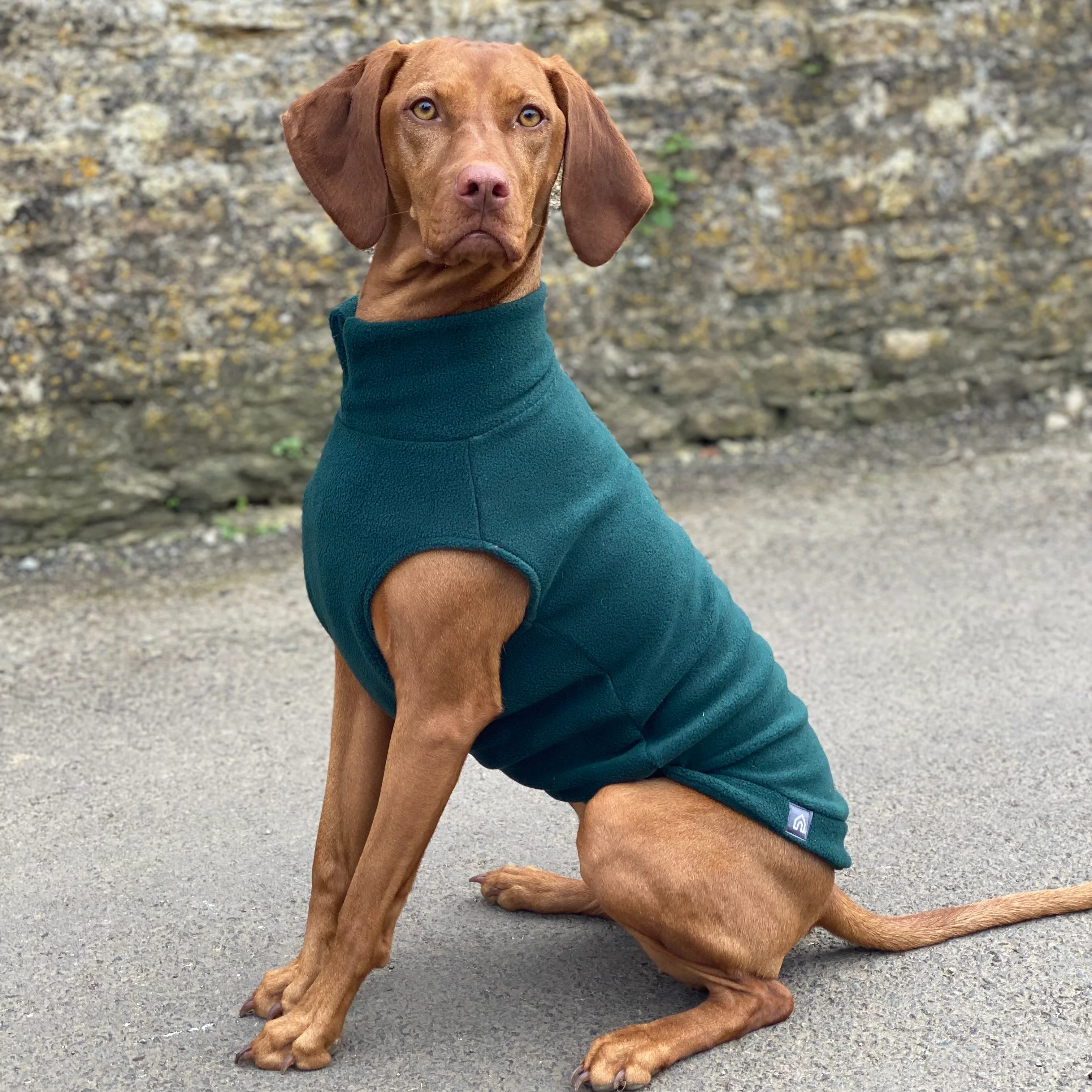 Large Breed Dog Fleece Jumper - Image 3