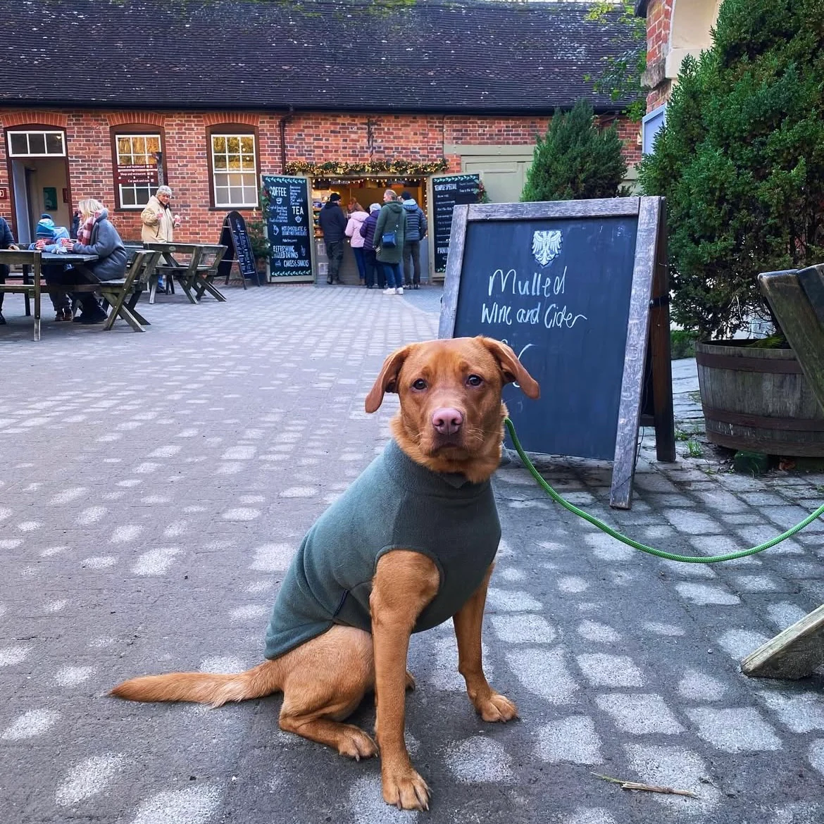 Large Breed Dog Fleece Jumper - Image 6