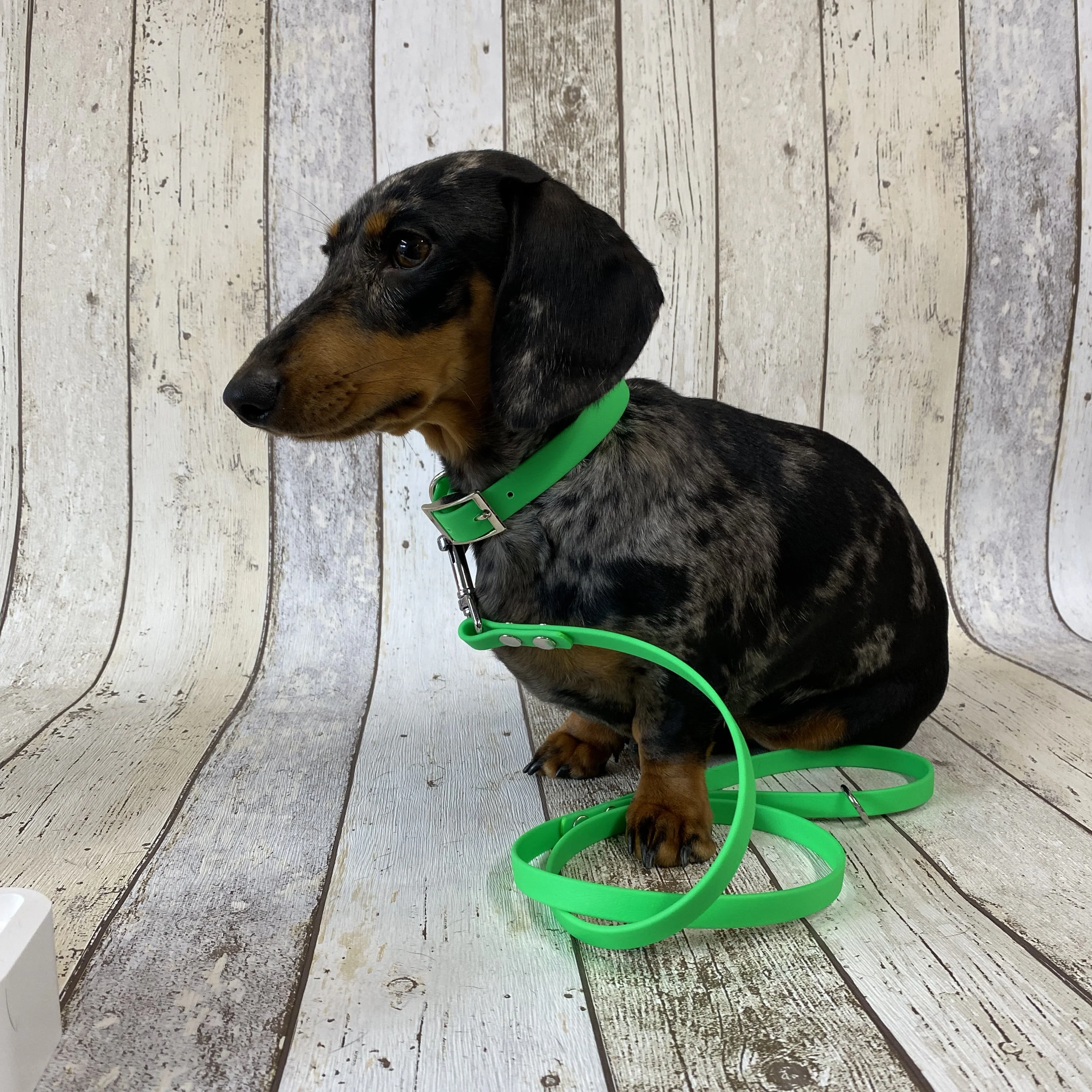Waterproof Neon Vegan Leather Dog Collar - Image 6