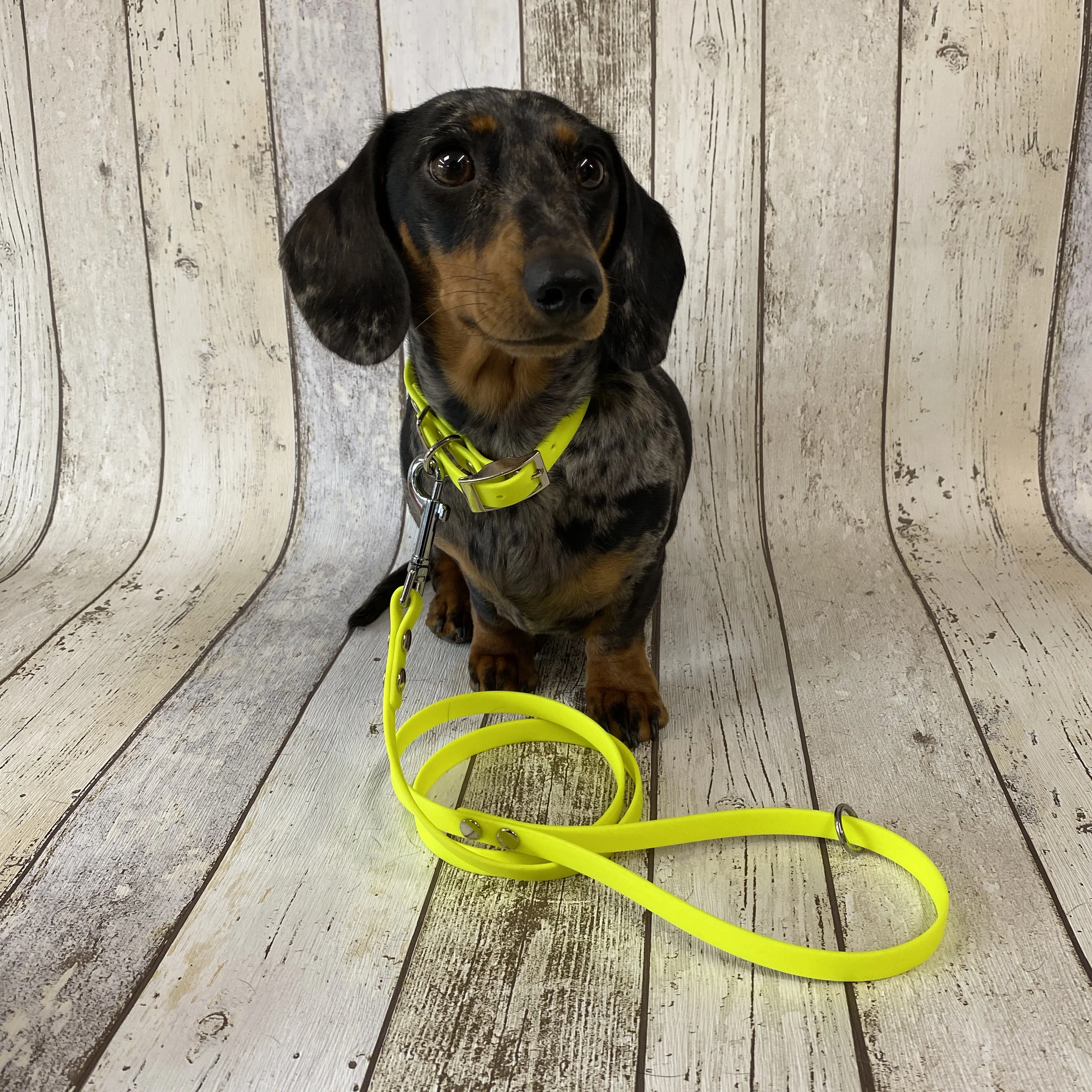 Waterproof Neon Vegan Leather Dog Collar - Image 7