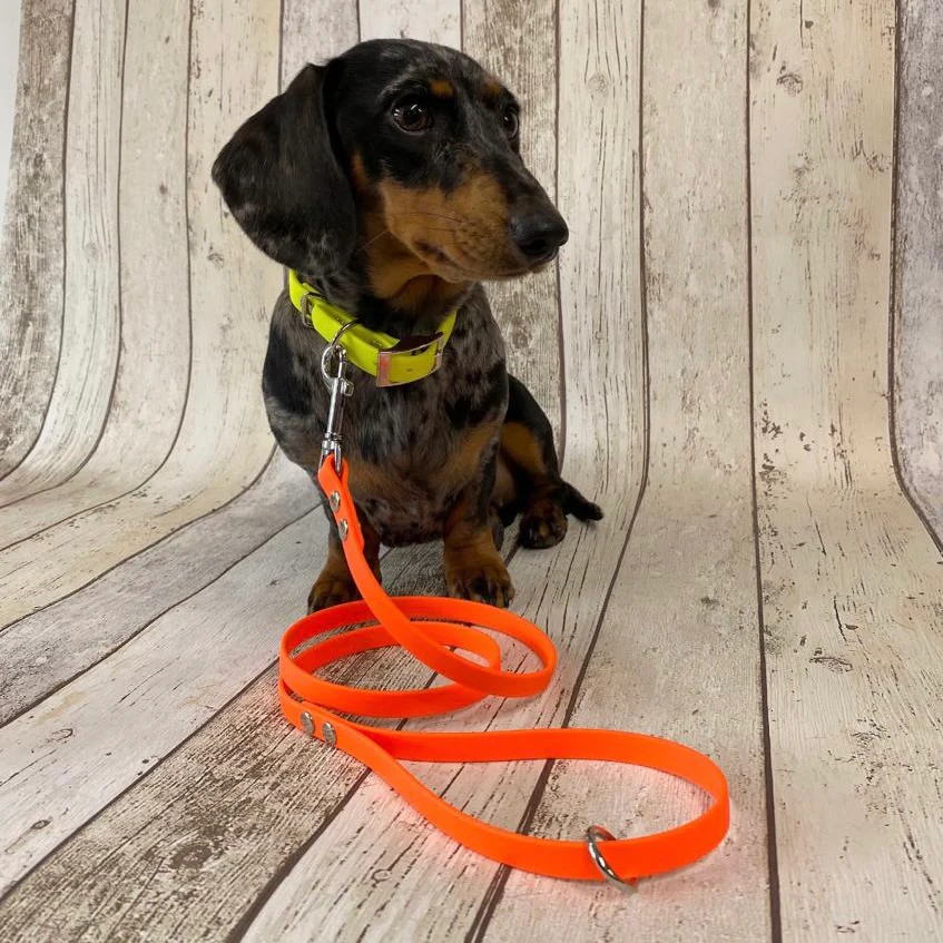Waterproof Neon Vegan Leather Dog Lead - Image 3