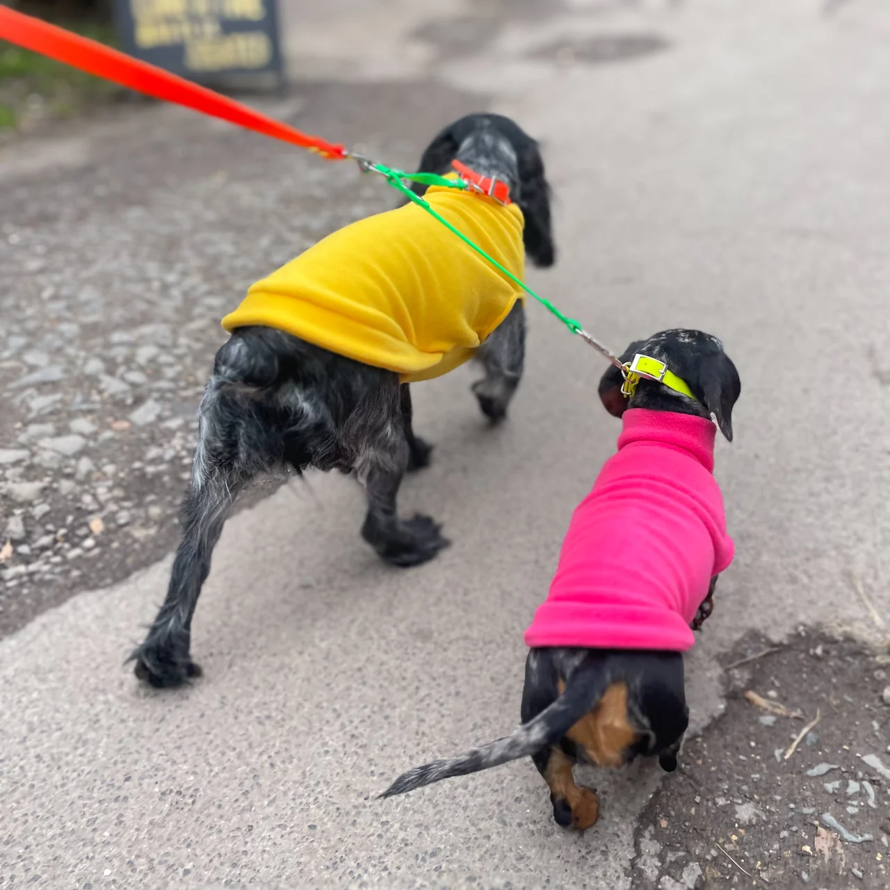 Waterproof Neon Vegan Leather Dog Splitter Lead - Image 3