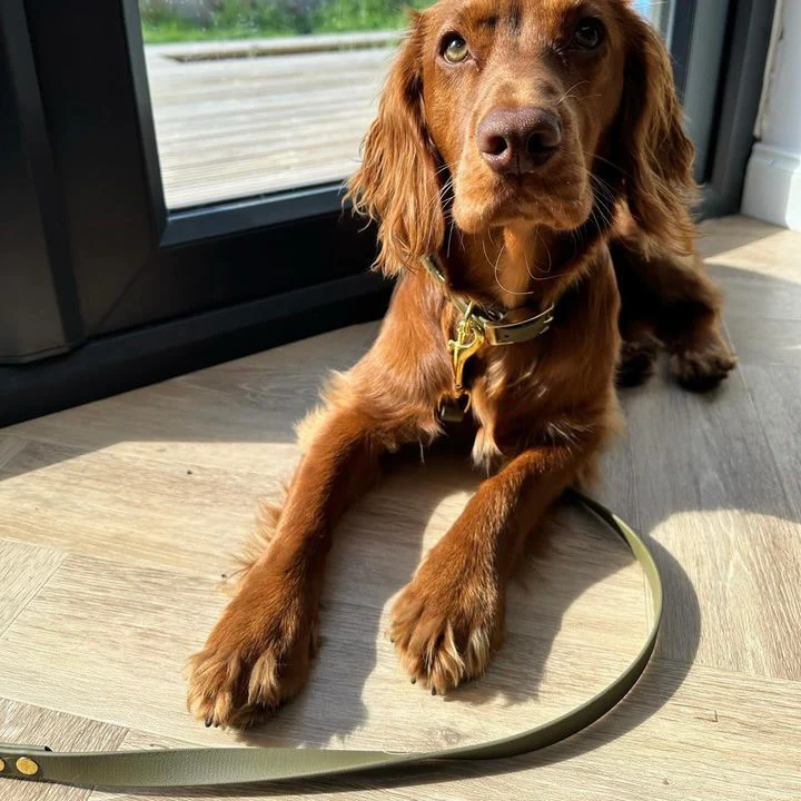 Waterproof Classic Vegan Leather Dog Lead - Image 9