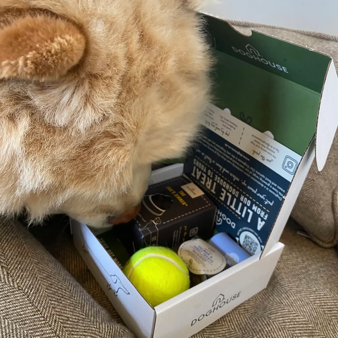 Woof Boxes for Hotels - Image 10