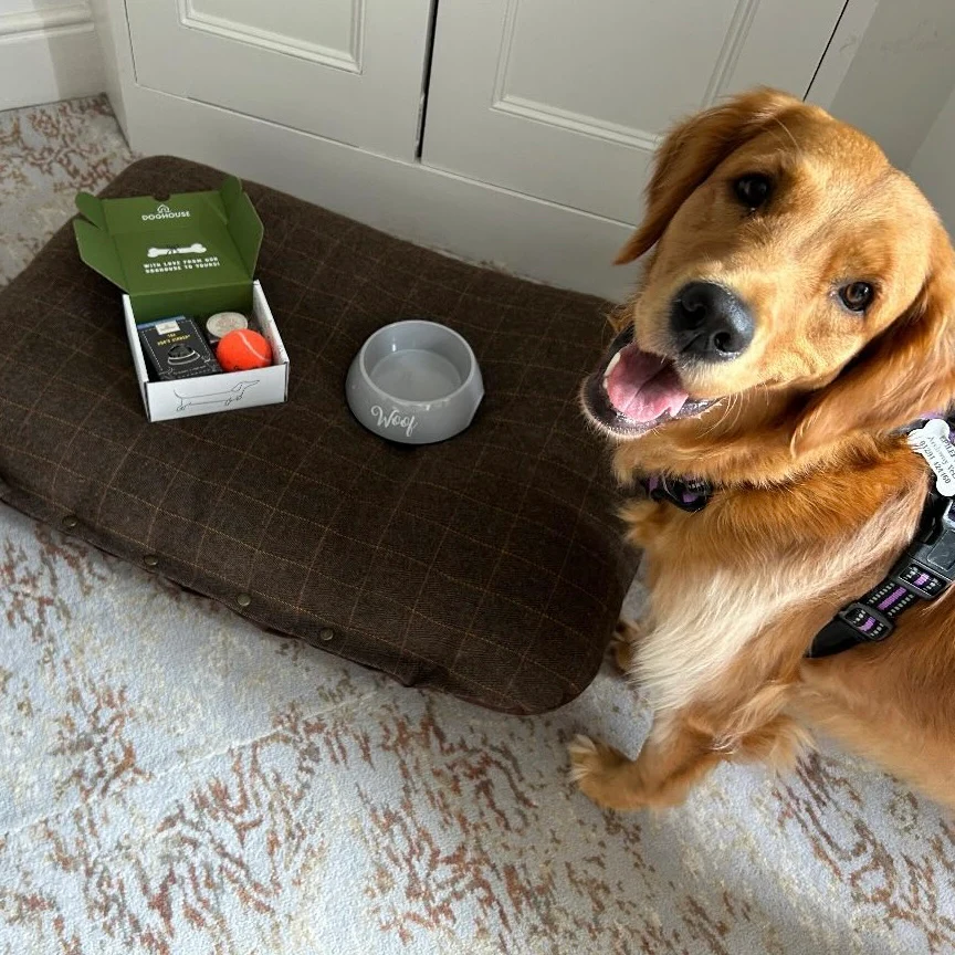 Woof Boxes for Hotels - Image 8